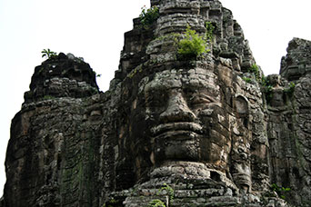 Cambogia