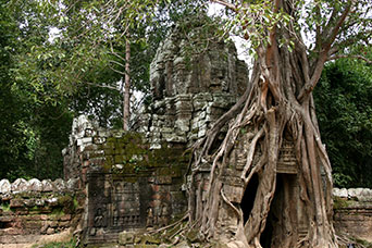 Cambogia