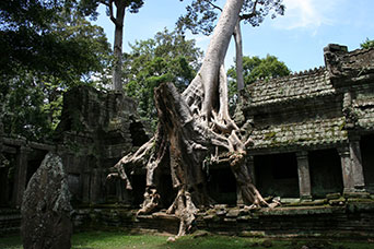 Cambogia