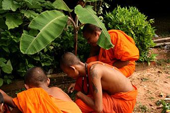 Cambogia