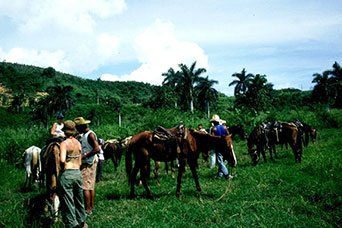 Cuba