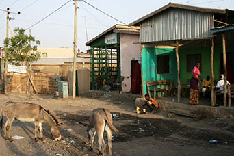 Etiopia (Dancalia)