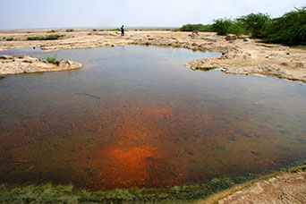 Etiopia (Dancalia)