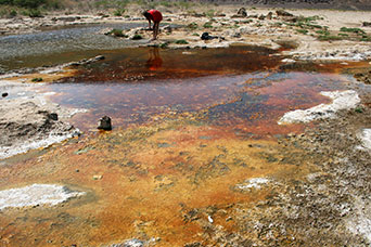 Etiopia (Dancalia)