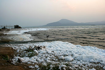 Etiopia (Dancalia)