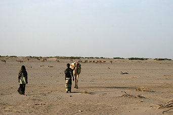Etiopia (Dancalia)