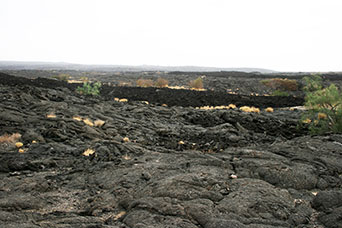 Etiopia (Dancalia)