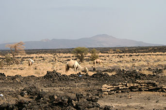 Etiopia (Dancalia)