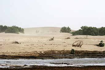Etiopia (Dancalia)