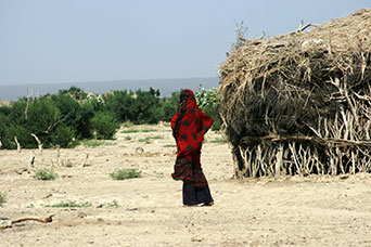 Etiopia (Dancalia)