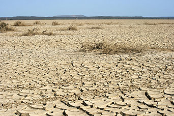 Etiopia (Dancalia)
