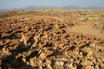 Etiopia (Dancalia)