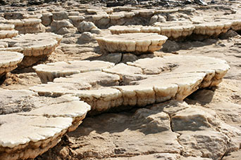Etiopia (Dancalia)