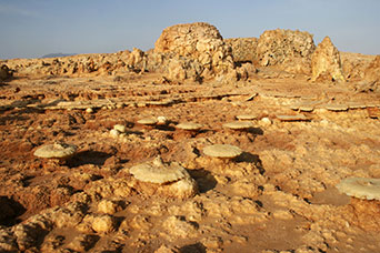 Etiopia (Dancalia)
