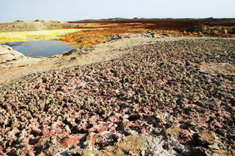 Etiopia (Dancalia)