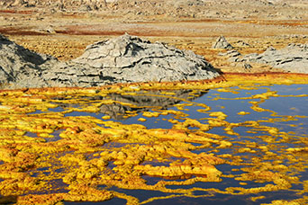 Etiopia (Dancalia)