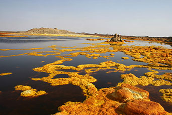 Etiopia (Dancalia)