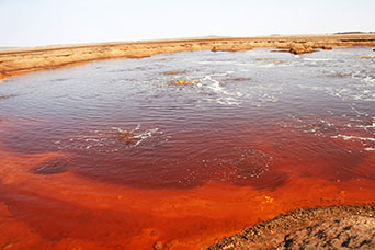 Etiopia (Dancalia)