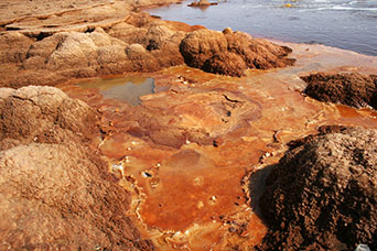 Etiopia (Dancalia)