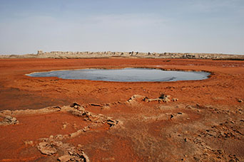 Etiopia (Dancalia)