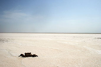 Etiopia (Dancalia)