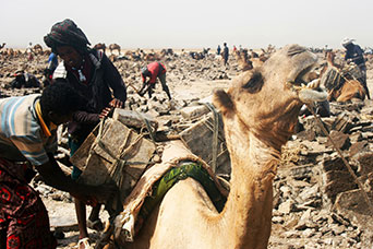 Etiopia (Dancalia)