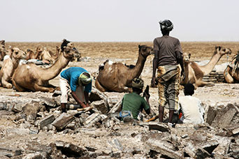 Etiopia (Dancalia)
