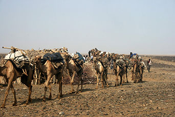 Etiopia (Dancalia)