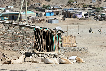 Etiopia (Dancalia)