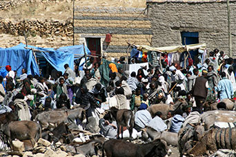 Etiopia (Dancalia)
