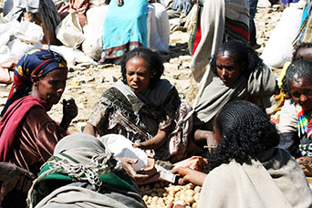 Etiopia (Dancalia)