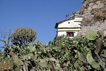 Etiopia (Dancalia)