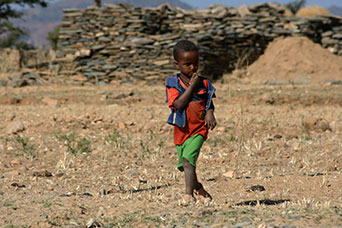 Etiopia (Dancalia)