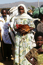 Etiopia (Dancalia)