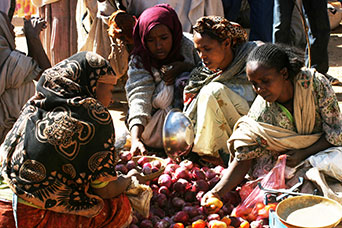 Etiopia (Dancalia)