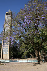 Etiopia (Dancalia)