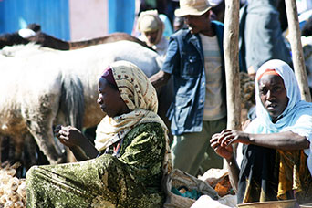 Etiopia (Dancalia)