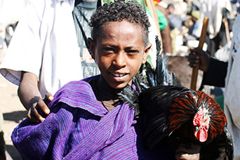 Etiopia (Dancalia)