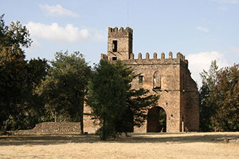 Etiopia (Dancalia)