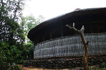 Etiopia (Dancalia)