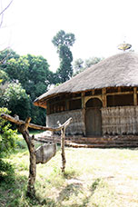 Etiopia (Dancalia)