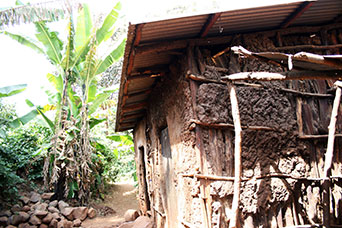 Etiopia (Dancalia)