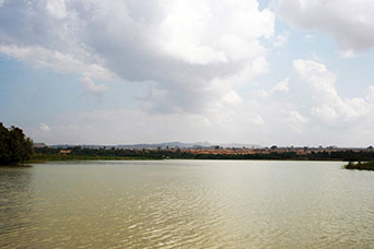 Etiopia (Dancalia)