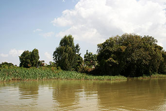 Etiopia (Dancalia)