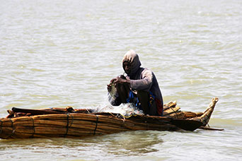 Etiopia (Dancalia)