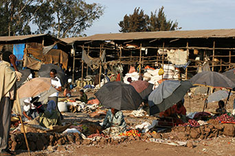 Etiopia (Dancalia)