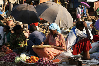 Etiopia (Dancalia)