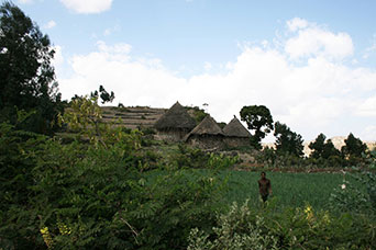 Etiopia (Dancalia)