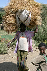 Etiopia (Dancalia)