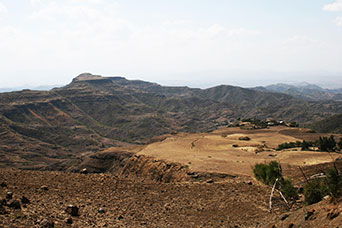 Etiopia (Dancalia)